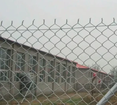 The World of Wire Mesh: A Complete Guide