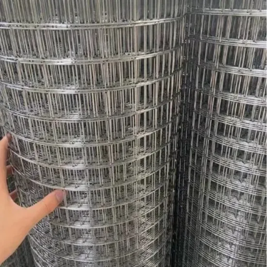 Galvanized Welded wire mesh roll